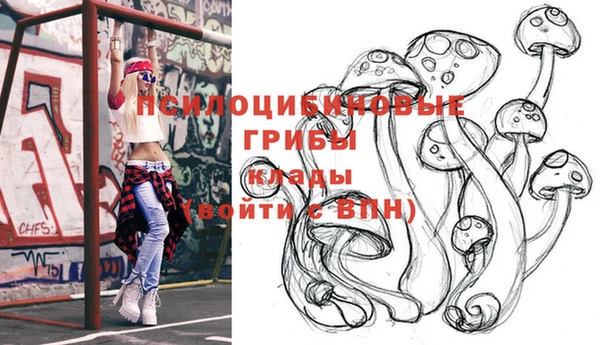 синтетический гашиш Алексеевка